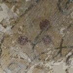 f5e71425-d4ea-4c82-b6c0-339cb6b0600f